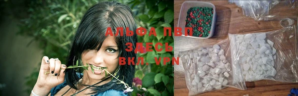 тгк Майский