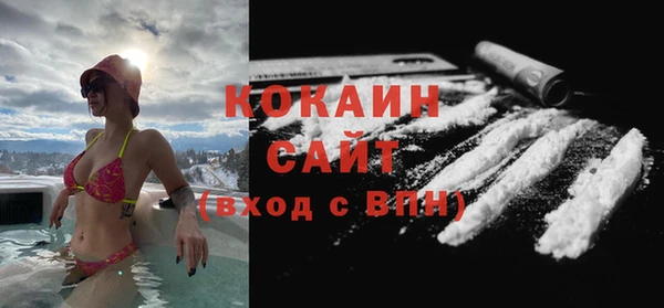гидра Магас