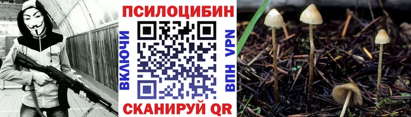 купить наркотики цена  Мелеуз  Псилоцибиновые грибы ЛСД 