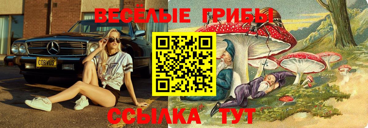 Галлюциногенные грибы прущие грибы  Псилоцибиновые грибы Psilocybine cubensis  Мелеуз 