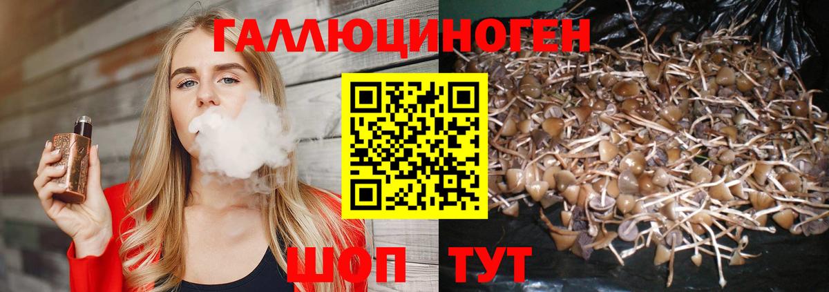 Псилоцибиновые грибы Magic Shrooms  Галлюциногенные грибы Magic Shrooms  Мелеуз  Вход с VPN 